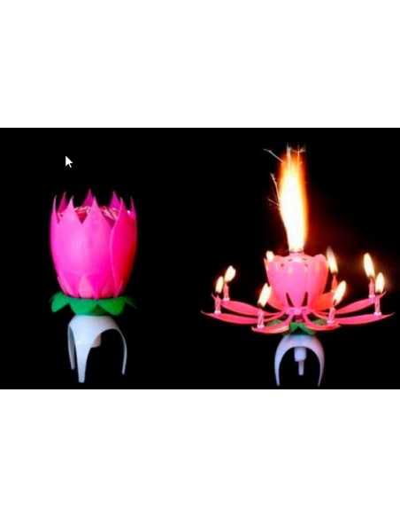 vela flor del loto Inicio