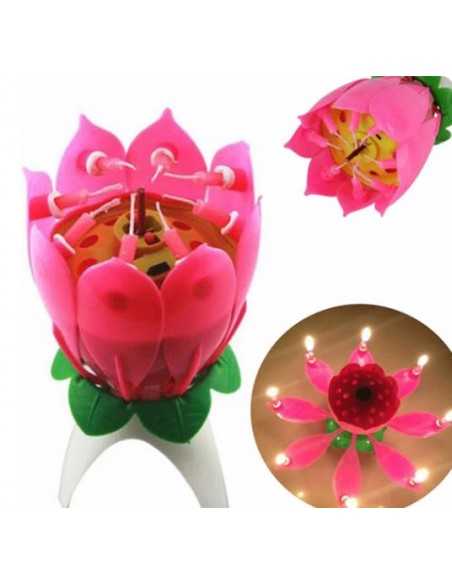 vela flor del loto Inicio